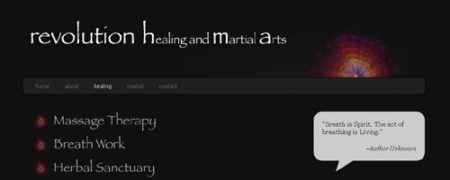 Revolution Healing and Martial Arts LLC