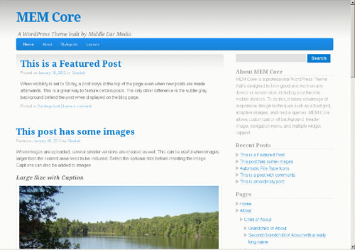 Free WordPress Theme 'MEM Core' released