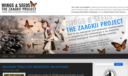 Wings & Seeds - The Zaagkii Project