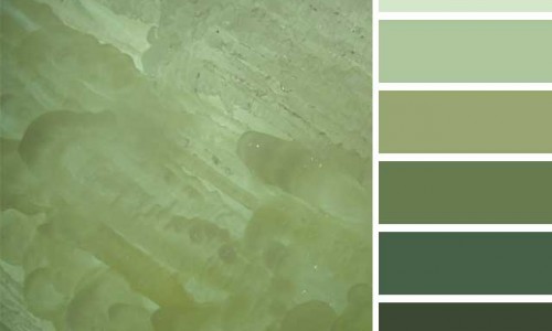 Green Ice Color Palette