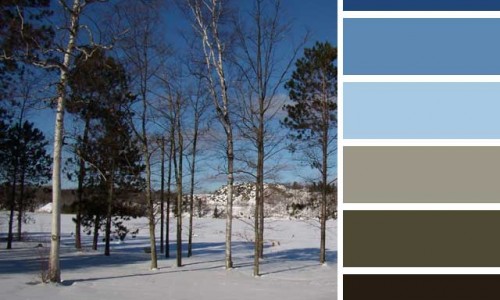 Winter Day Color Palette