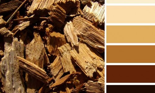 Wood Chips Color Palette