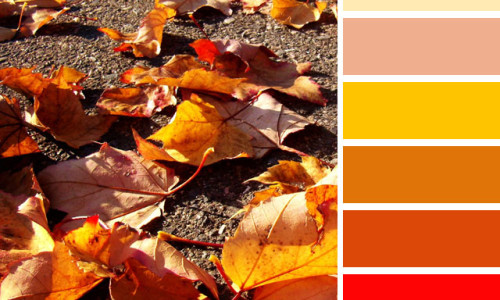 Dry Leaves Color Palette