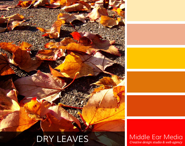 Dry Leaves Color Palette